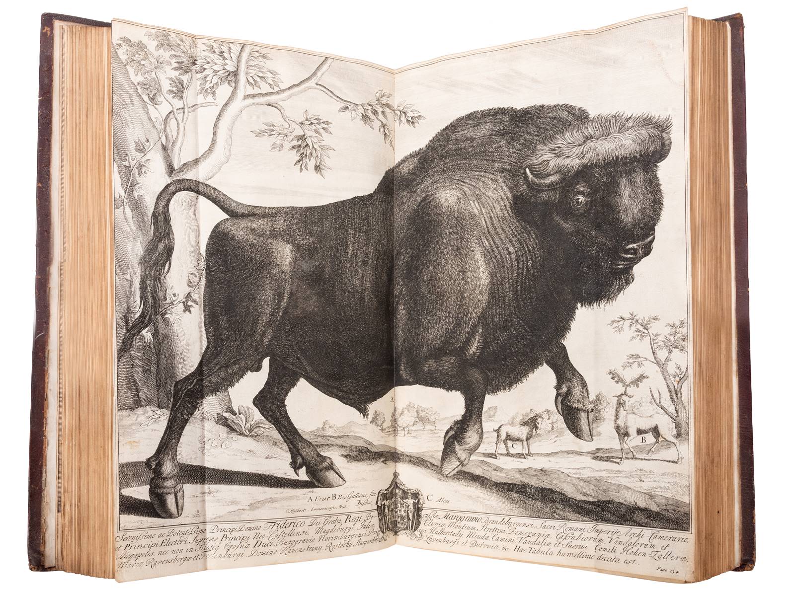 Gaius Julius Caesar's The Commentaries