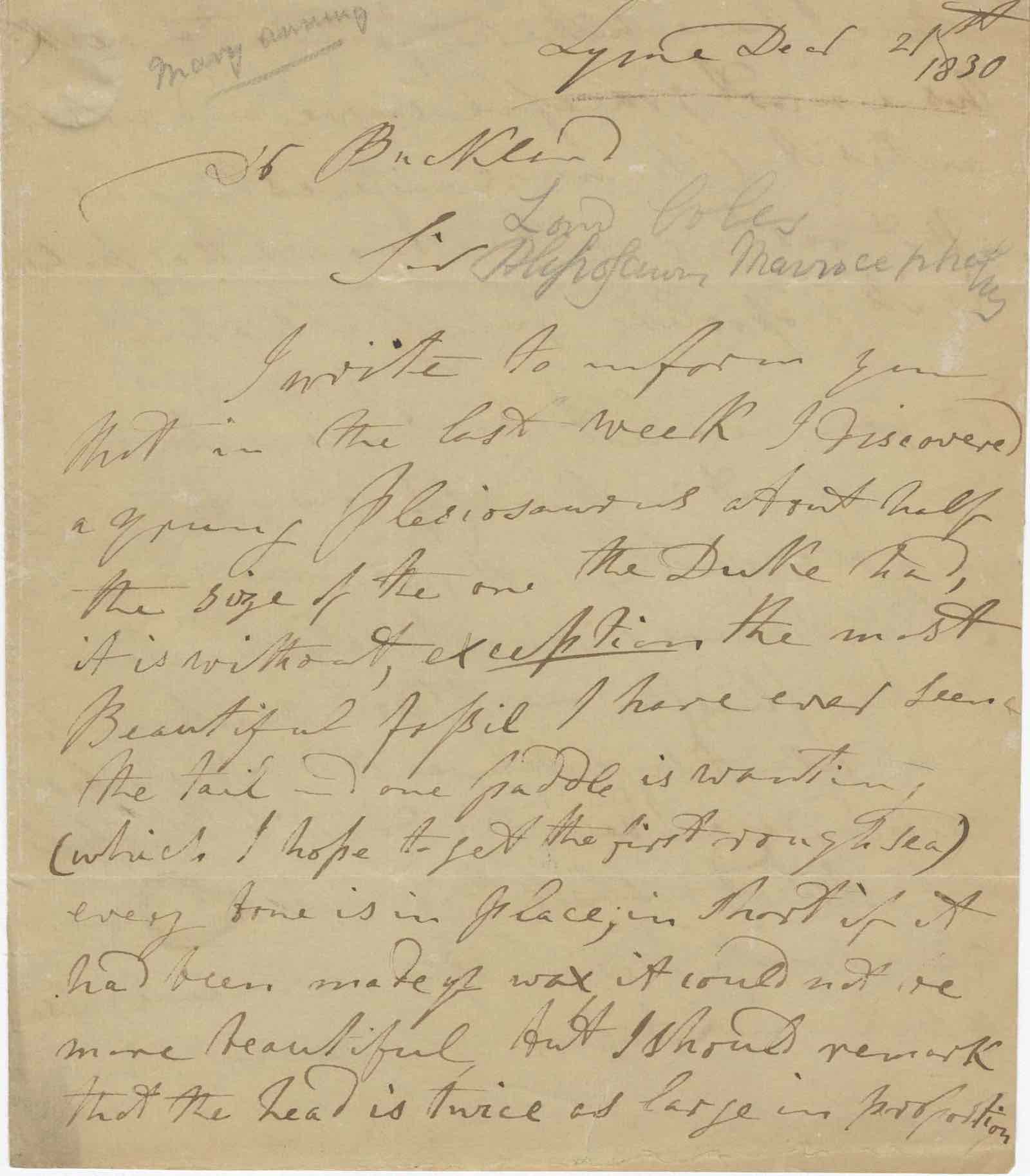 Signed letter from Mary Anning to William Buckland, 21 December 1830, informing him of a plesiosaur skeleton she had recently discovered.