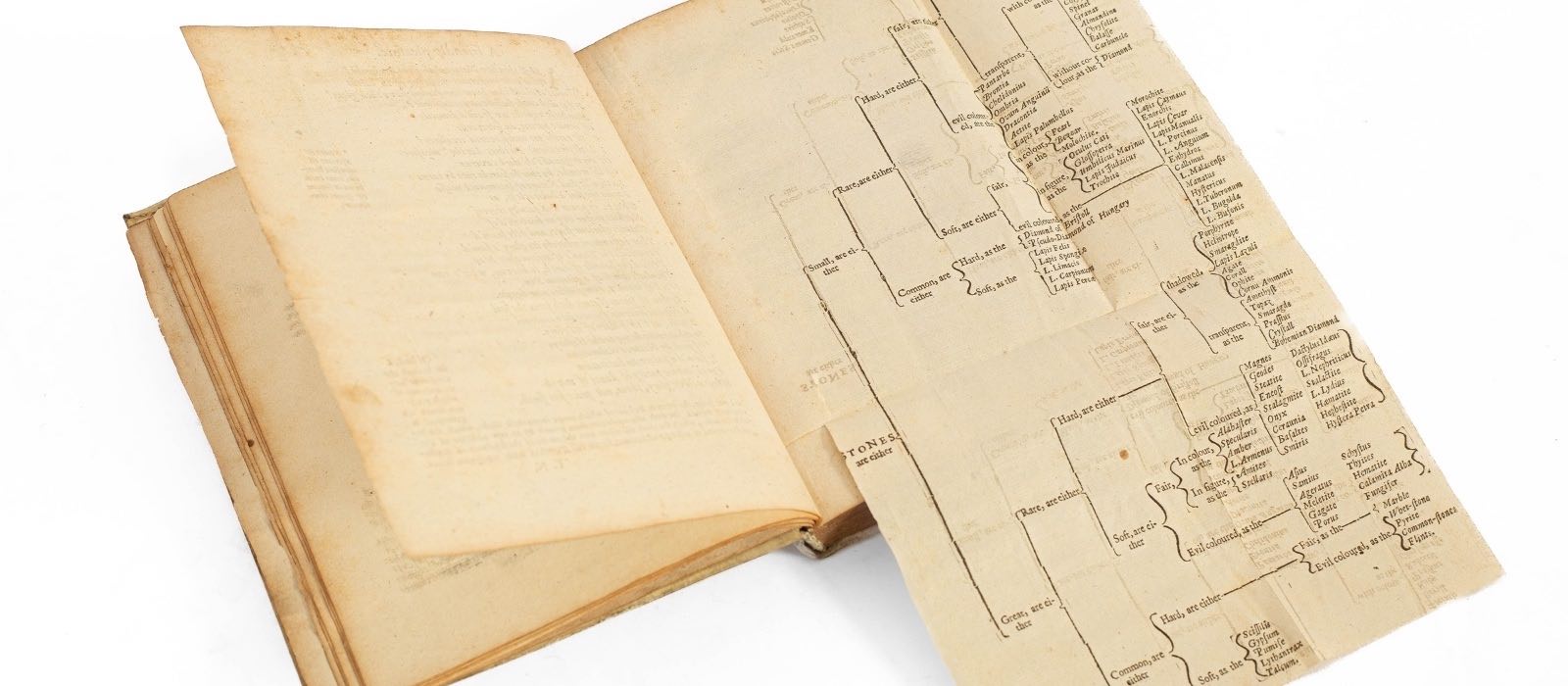 A lapidary, or The History of Precious Stone: with cautions for undeceiving of all those that deal with precious stones