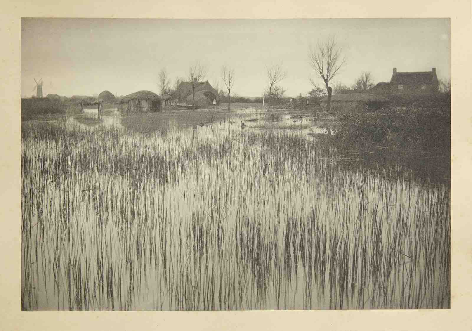 A print in the Emerson book