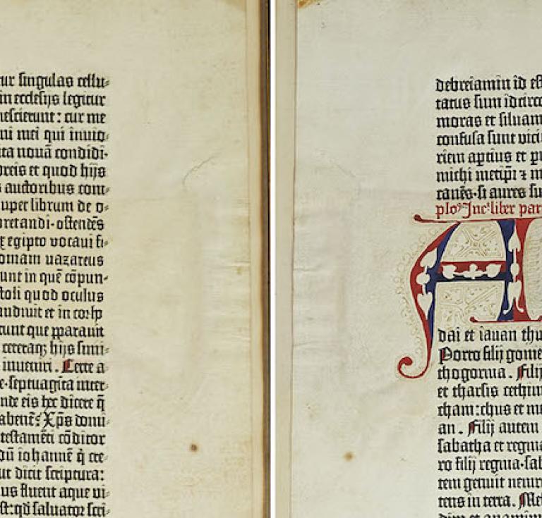 Gutenberg Bible leaf NDS